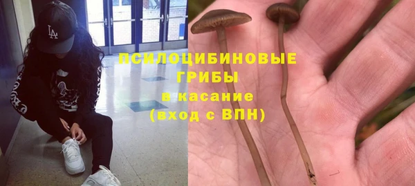 дурь Киренск