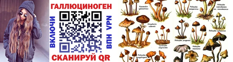 Купить где  Апрелевка  Псилоцибиновые грибы мицелий 